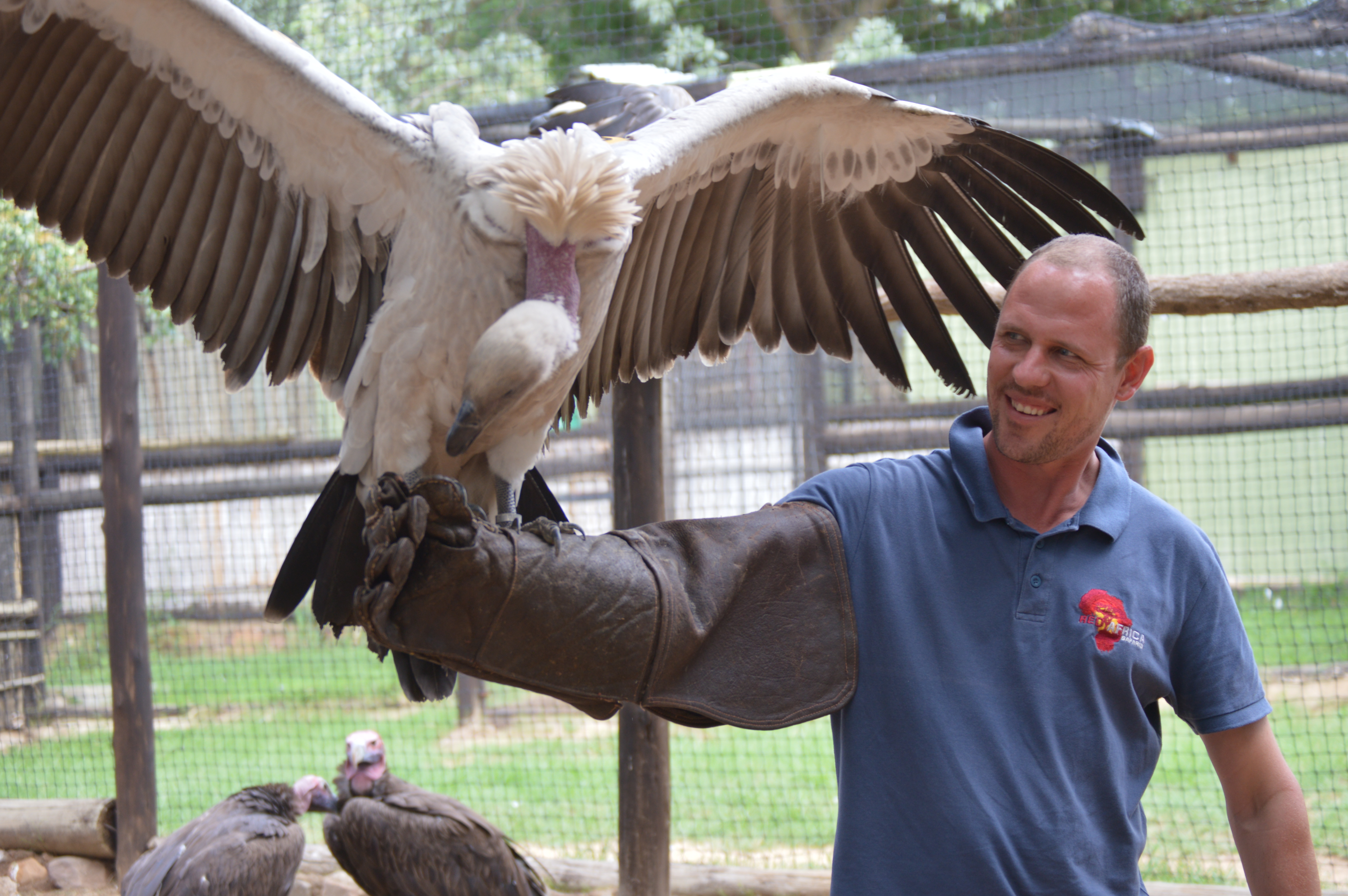 Kruger National Park-Moholoholo wildlife rehabilitation centre-Red Africa Safaris